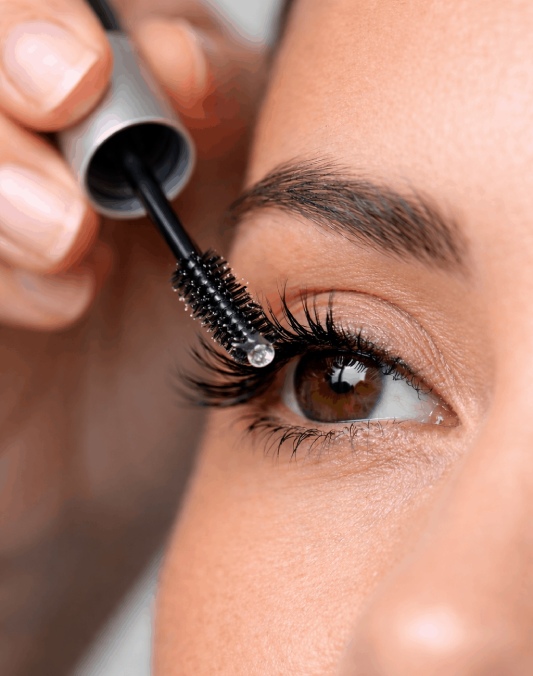 sera na rasy (1) (1)